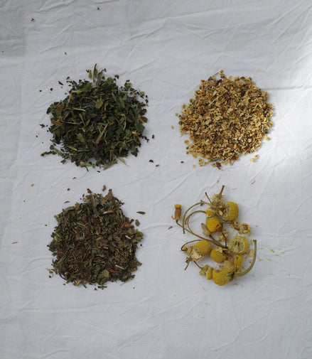 nose&eyes(季節のムズムズに)